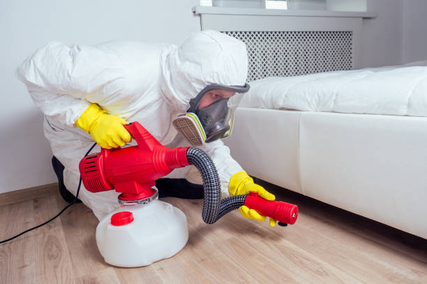 Pest Prevention Services in Patterson Tract, CA