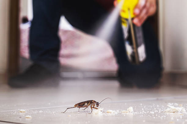 Best Pest Inspection Near Me  in Patterson Tract, CA